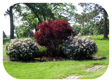 Private Creation Garden