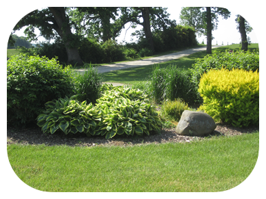 Cemeteries in Sterling Illinois